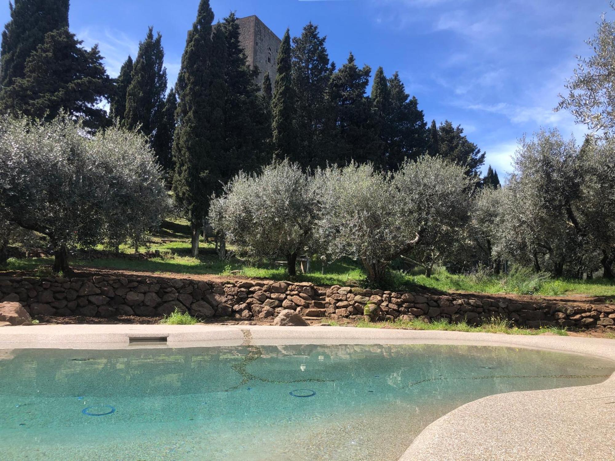 Torre Dei Belforti Montecatini Val di Cecina Eksteriør billede