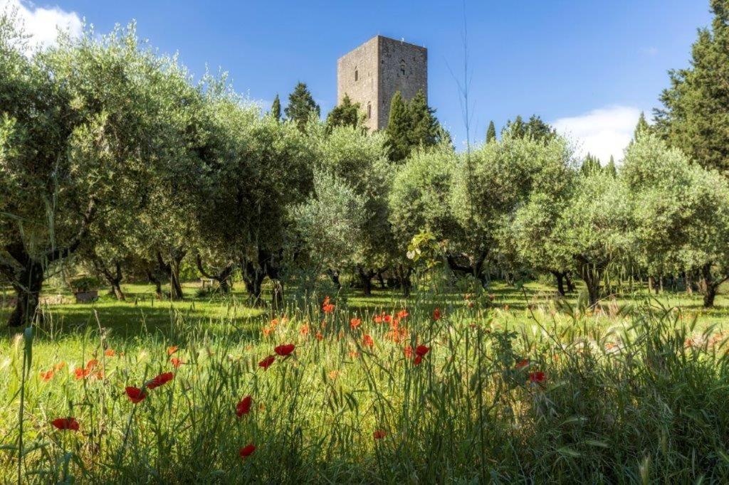 Torre Dei Belforti Montecatini Val di Cecina Eksteriør billede