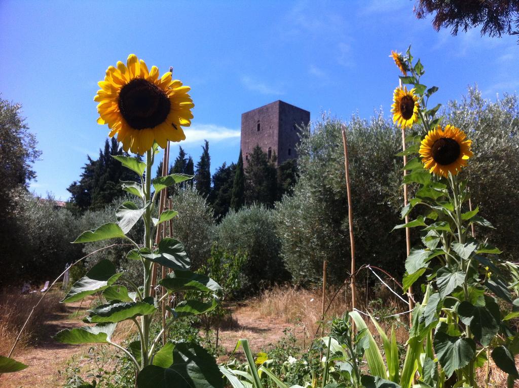 Torre Dei Belforti Montecatini Val di Cecina Eksteriør billede